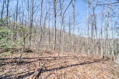 0 Lots 734 & 735 Renegade Pkwy unit 239400, Crab Orchard, TN 37723 - photo 3