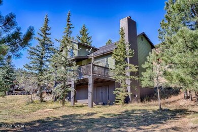 87 Main St, Greer, AZ 85927 - photo 3