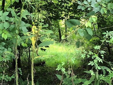 0 Chestnut Ridge Rd unit 4038675, Danville, OH 43014 - photo 6