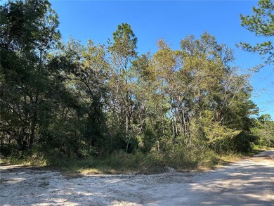 TBD NE 138th Terrace, Williston, FL 32696 - photo 2
