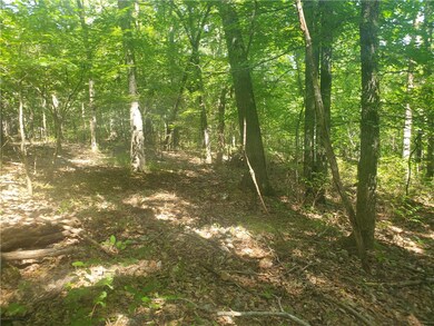 0 Netherton Ln, Bella Vista, AR 72715 - photo 6