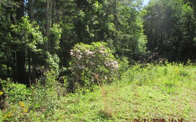 Additional View