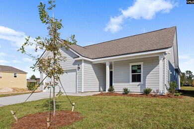 129 Monroe Preserve Dr, Chapin, SC 29036 - photo 3