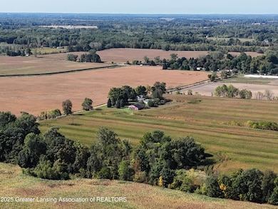 10307 Holmes Hwy, Eaton Rapids, MI 48827 - photo 7