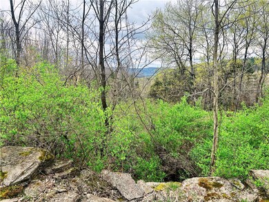 0 Sisson Hill Rd unit R1607206, Unadilla, NY 13849 - photo 6