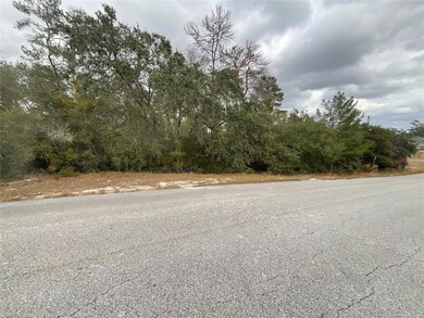 TBD SW 111th Place, Ocala, FL 34476 - photo 5