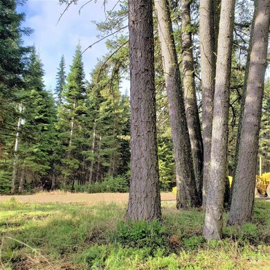 20 Andy, Donnelly, ID 83638 - photo 5