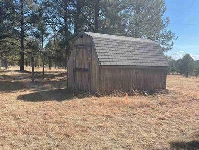 TBD Sundance Dr unit Tract 46: Lone Elk S, West Custer Township, SD 57747 - photo 5