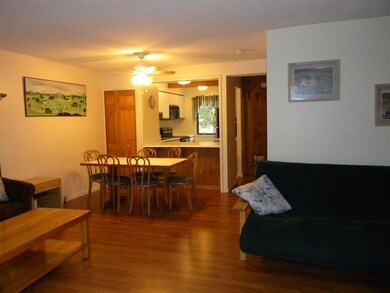 26 Windsor Hill Way unit 120, Waterville Valley, NH 03215 - photo 4