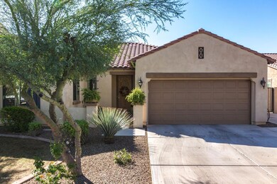 443 W Lantana Pl