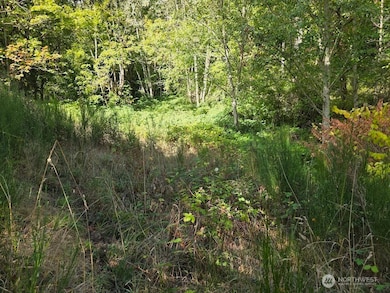 7002 Ocean Beach Hwy, Longview, WA 98632 - photo 5