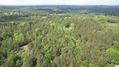 0 Armstrong Mountain Ln unit 21405929, Talladega, AL 35160 - photo 7