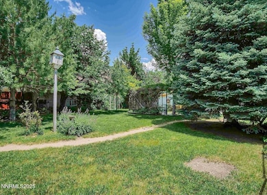 2 Front yard