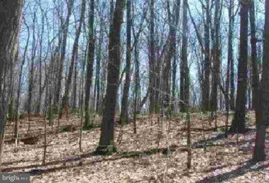 0 Shady Hill Dr unit 1002730239, Ronks, PA 17572 - photo 2