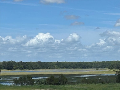 24525 Hodges Reserve Ave, Howey-In-the-hills, FL 34737 - photo 4