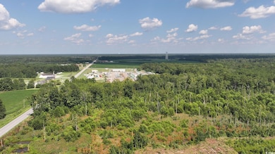 0 Highway 521 unit Tract 2, Greeleyville, SC 29056 - photo 4