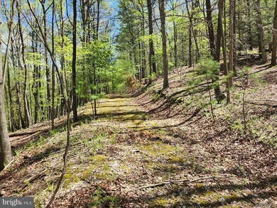LOT 16-A Lost River Mountain Wits End, Mathias, WV 26812 - photo 3