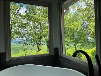 Detailed view of a freestanding tub