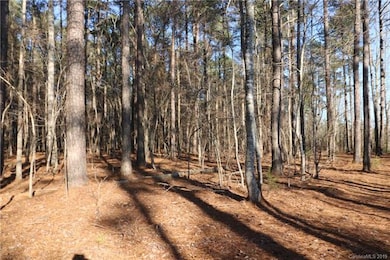 #15 State Road S-46-1102 unit 15, York, SC 29745 - photo 4