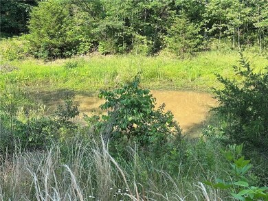 Tract-B Madison Cr 6021, Elkins, AR 72727 - photo 2