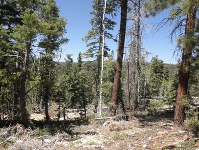 840 W Shale Cir unit ZVME Un E Lot 135, Duck Creek Village, UT 84762 - photo 7