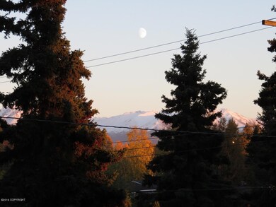View from Dining