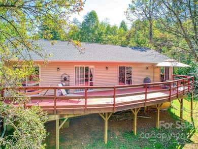145 Jones Rd, Leicester, NC 28748 - photo 5