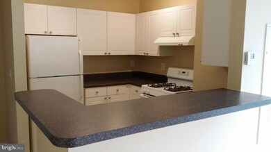 11352 Aristotle Dr unit 7-302, Fairfax, VA 22030 - photo 7