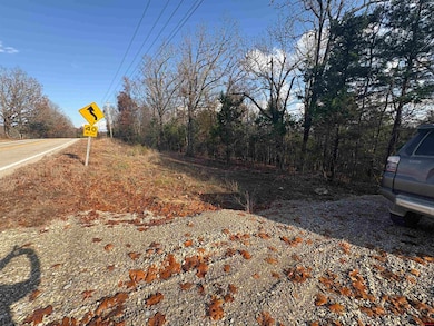 001-03671-002 Arkansas 101, Gamaliel, AR 72537 - photo 3