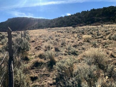 Fence line just east of gate entrance