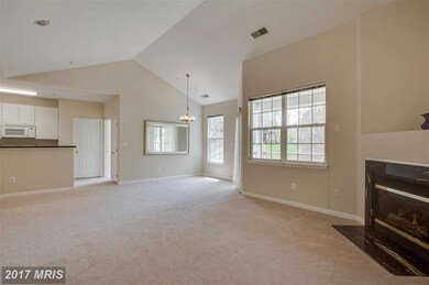 5004 Willow Branch Way unit 302, Owings Mills, MD 21117 - photo 5