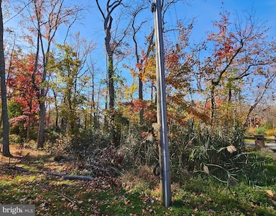 1217 Cross Rd, Annapolis, MD 21403 - photo 7