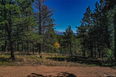 3447 Pathfinder Rd, Florissant, CO 80816 - photo 6