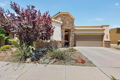 3609 San Clemente Ave, Las Cruces, NM 88012 - photo 2