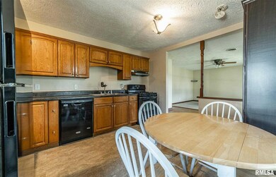 740 Bryan Ave, Lincoln, IL 62656 - photo 5