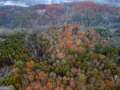 260 Fain St, Morganton, GA 30560 - photo 3