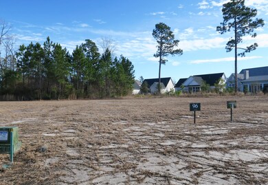 1419 Cross Water Cir, Leland, NC 28451 - photo 3