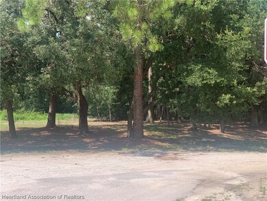 2326 W Barben Rd, Avon Park, FL 33825 - photo 6