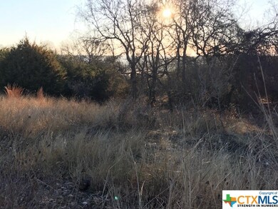 1505 Alan Arbor Ln, Copperas Cove, TX 76522 - photo 4