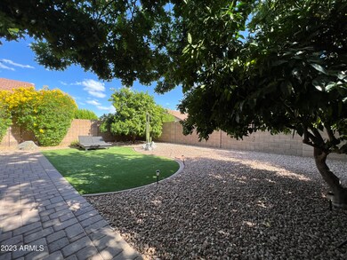 Trees & Turf