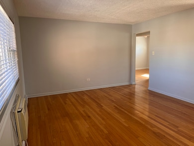 427 S Euclid Ave unit H, Oak Park, IL 60302 - photo 2