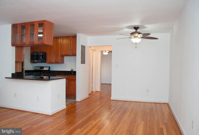 111 Lee Ave unit 203, Takoma Park, MD 20912 - photo 3