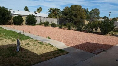 Huge Back Yard!