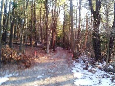 Lot 18 Mont Fern Ave, Sharon, MA 02067 - photo 6