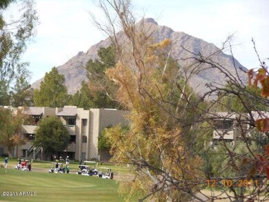 camelback