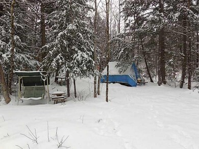 Lot #1 Off Rd S, Parsonsfield, ME 04047 - photo 7