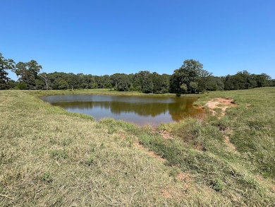 27673 S 449th West Ave, Depew, OK 74028 - photo 6