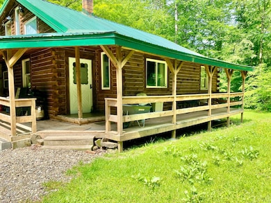 3776 E Handsome Brook Rd, Franklin, NY 13775 - photo 3