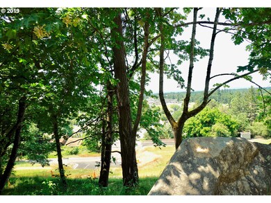 Community Park
