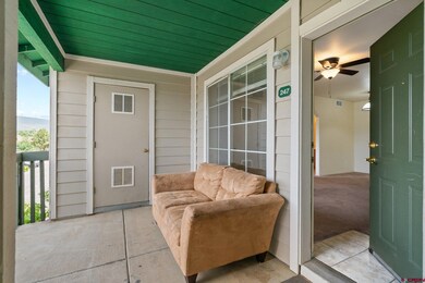1100 Goeglein Gulch Rd unit 247, Durango, CO 81301 - photo 4